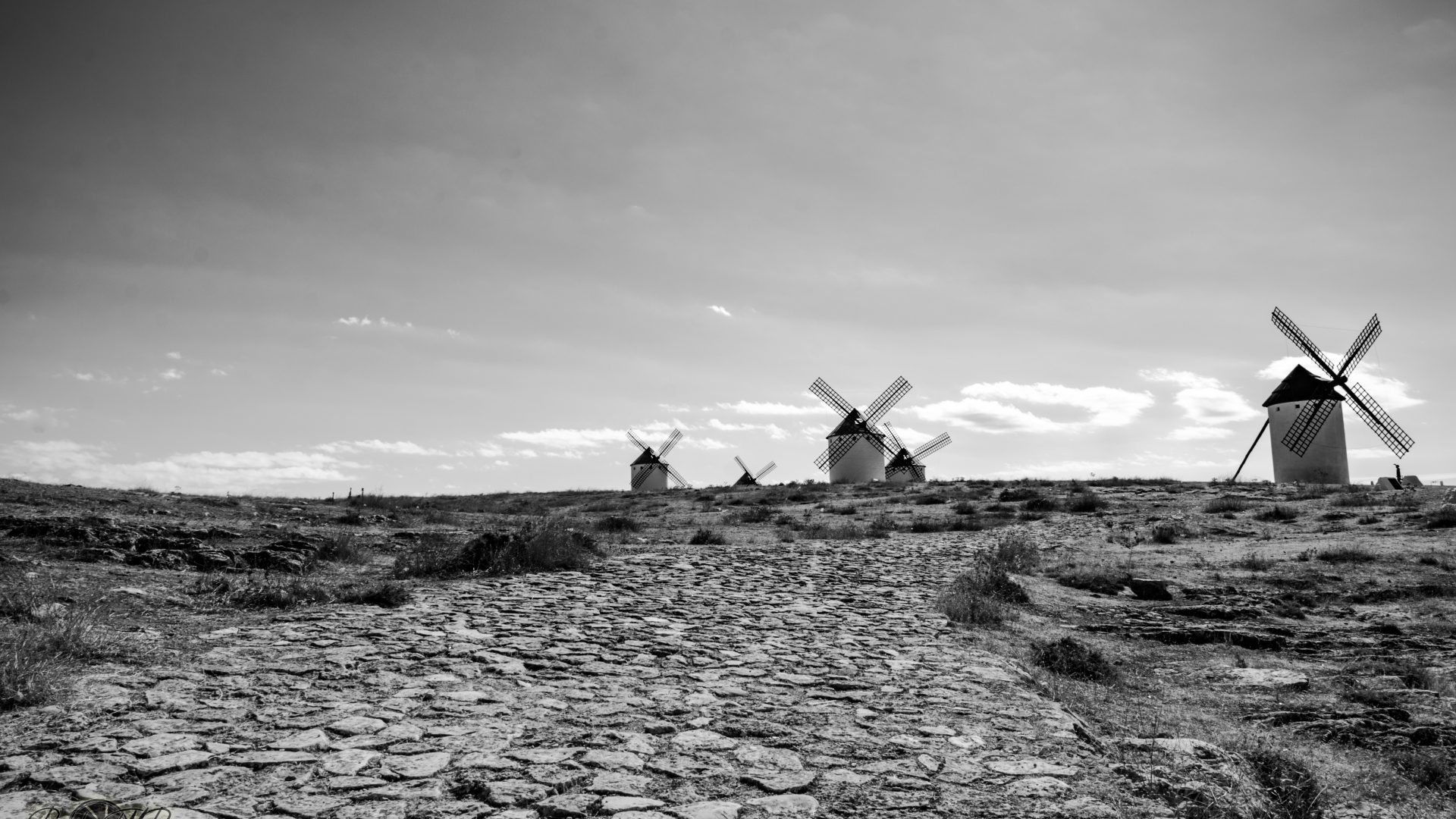 Campos de Criptana - 08