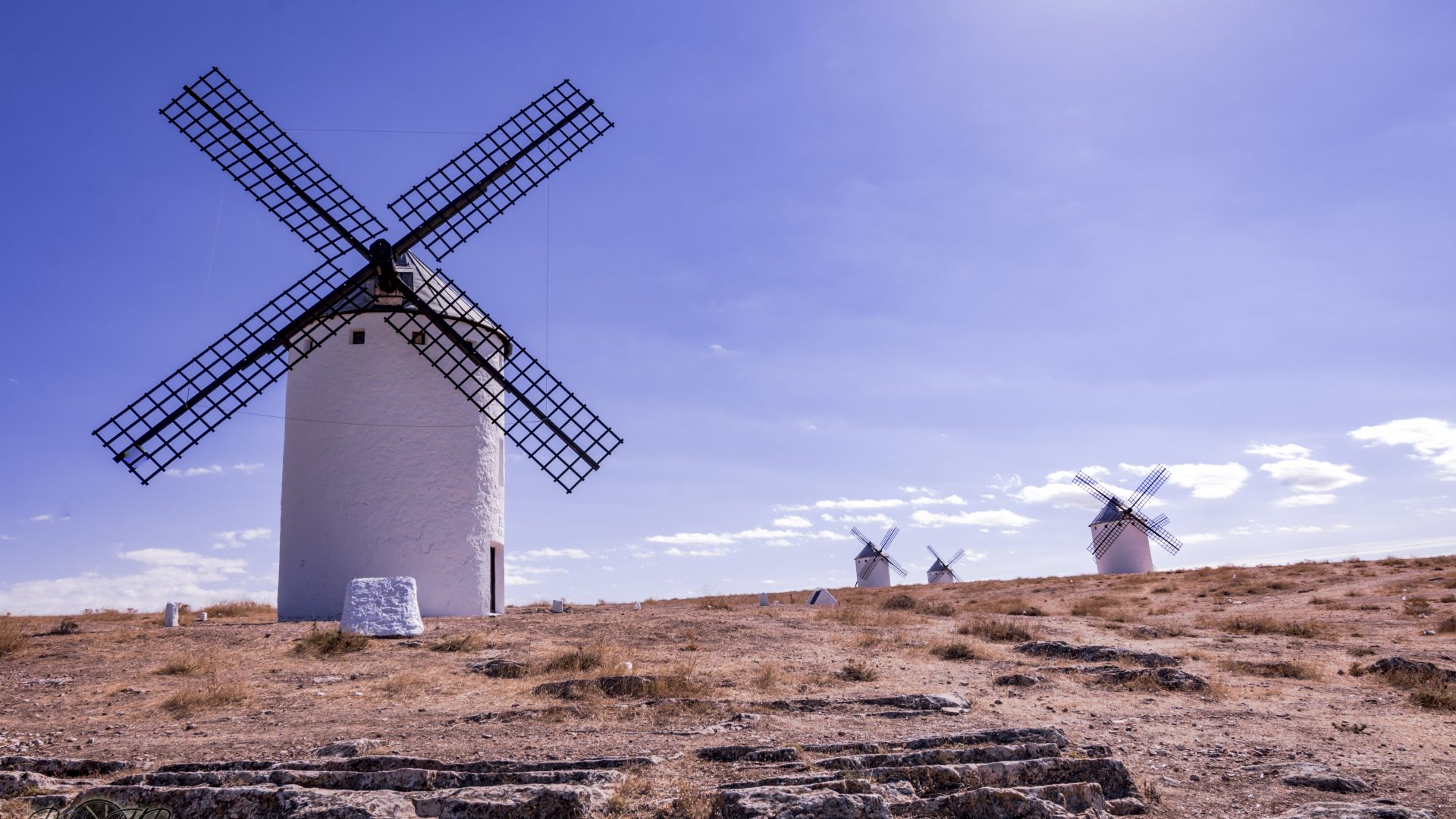 Campos de Criptana - 09