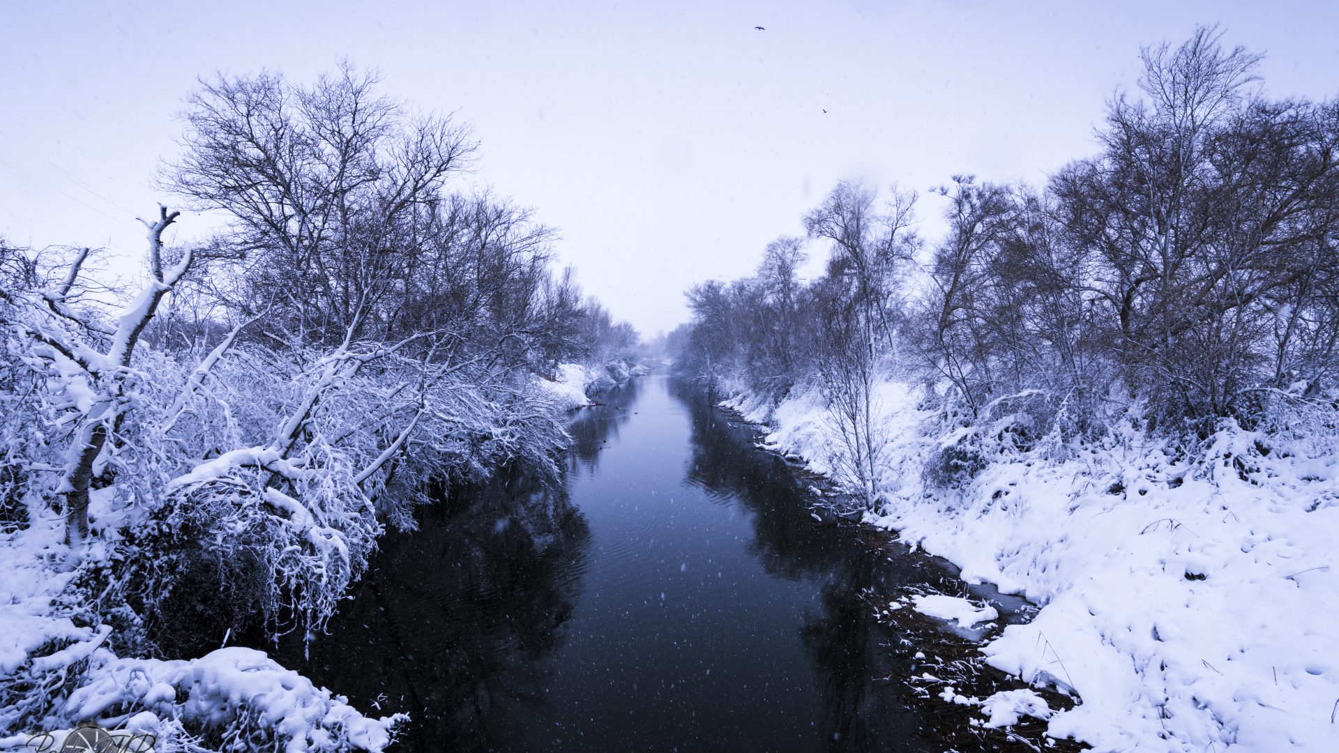 Rio Henares - "Filomena" -01