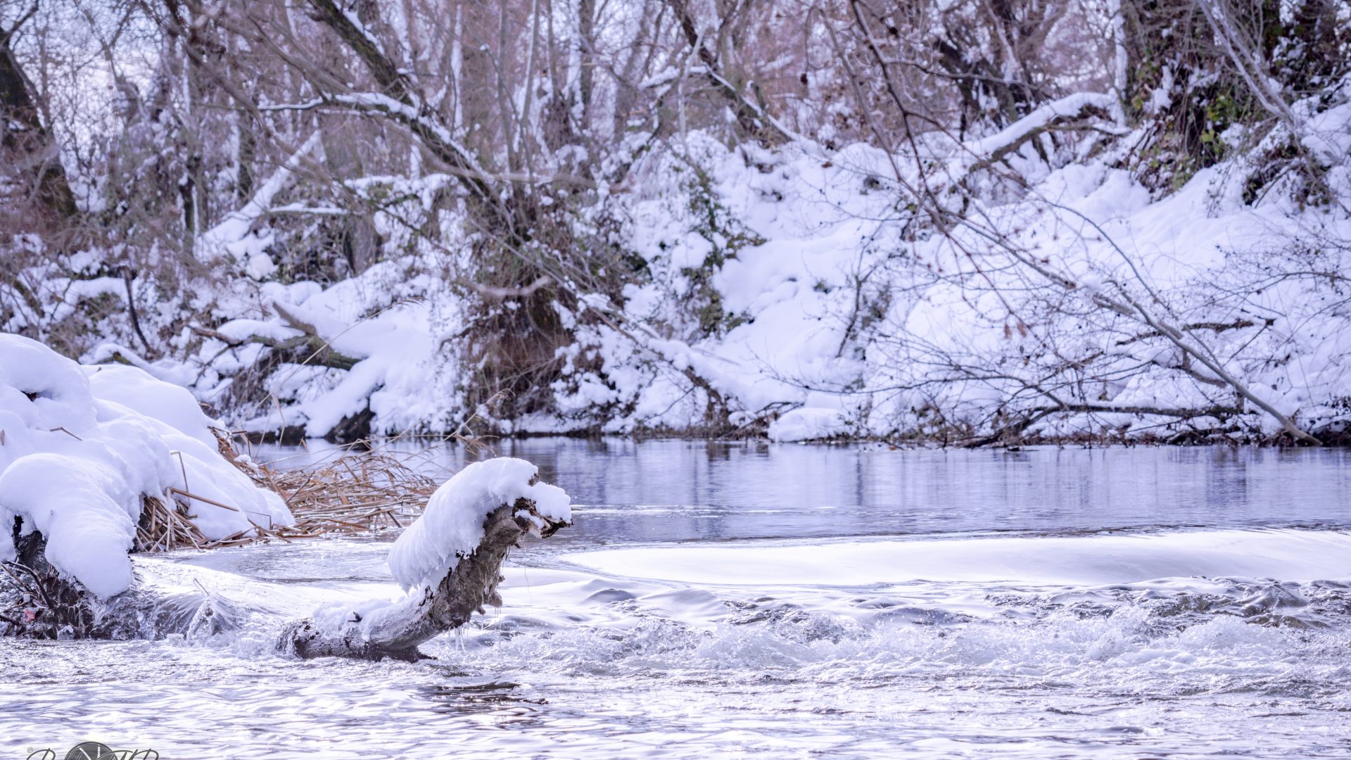 Rio Henares - "Filomena" -07