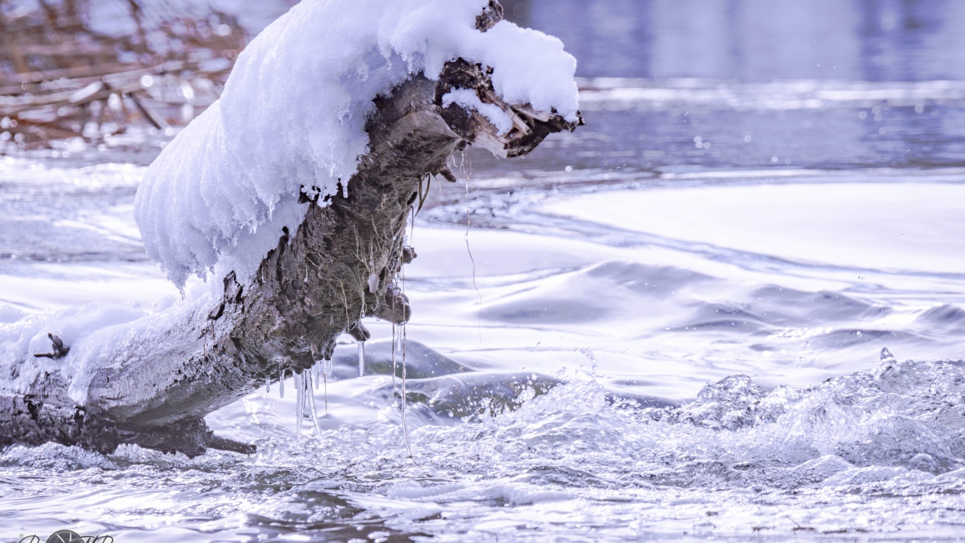 Rio Henares - "Filomena" -08