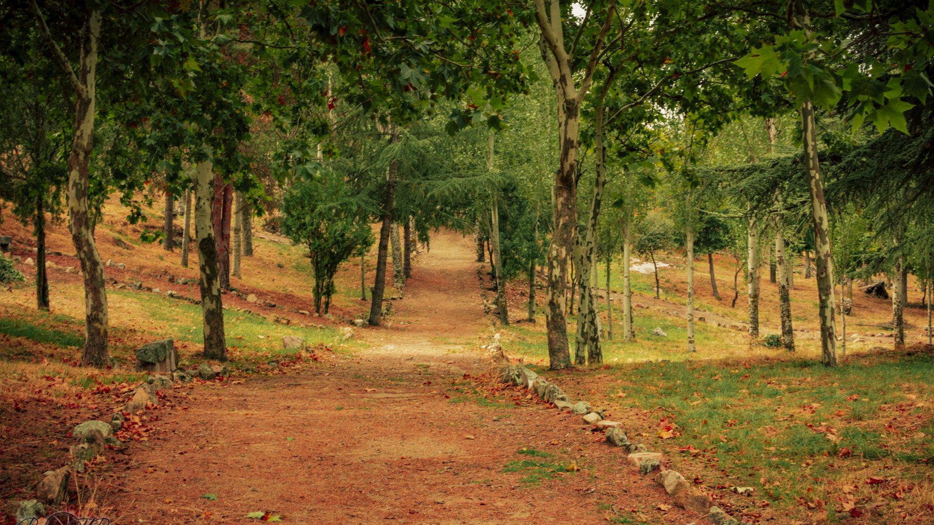 San Bartolomé De Pinares - 10