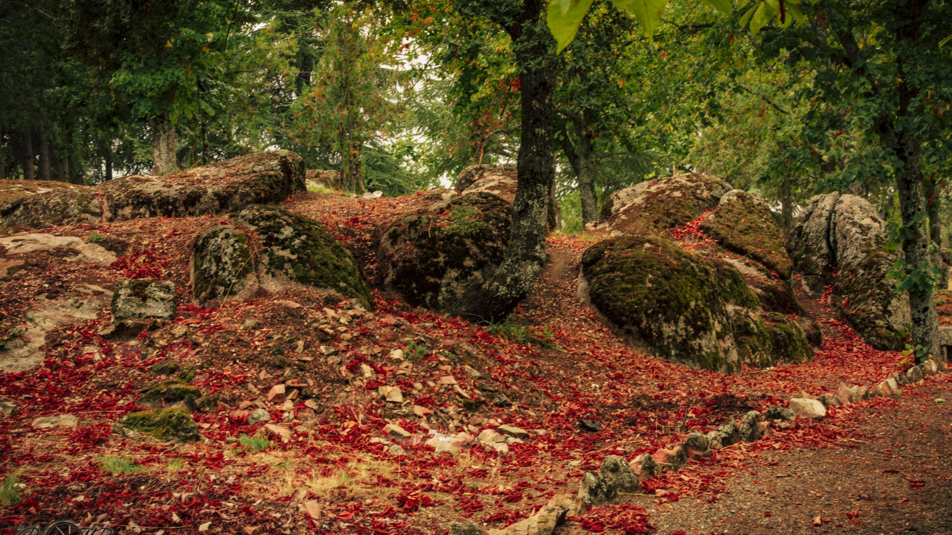 San Bartolomé De Pinares - 11