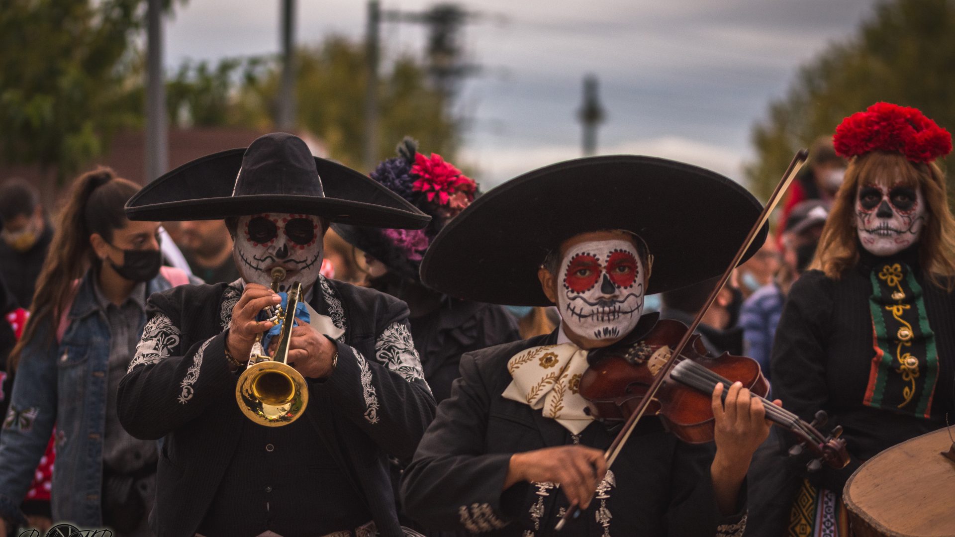 Mariachis-16